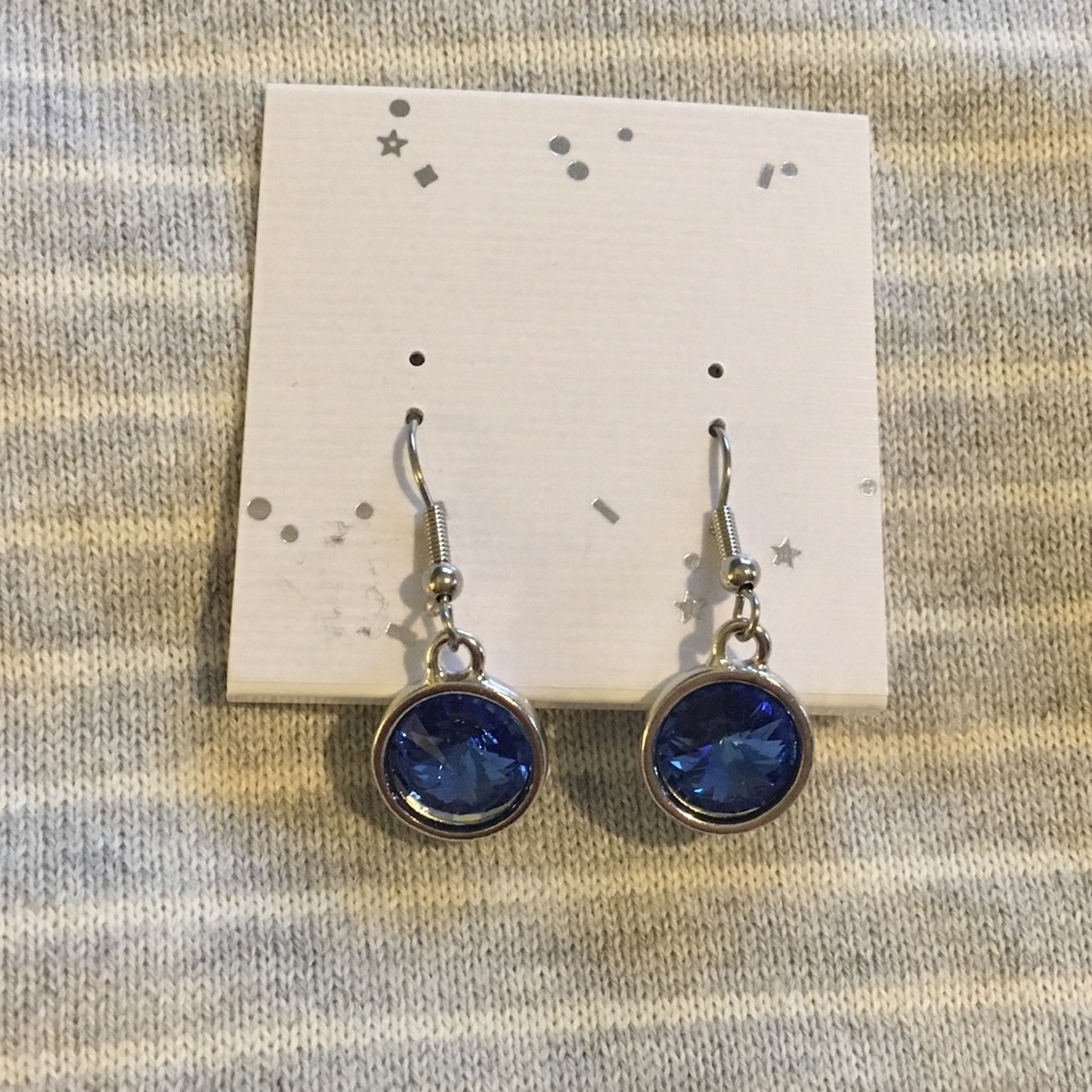 Beautiful New Blue Earrings